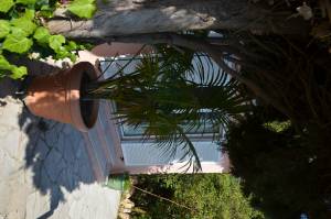 Nicolas TREFOLONI - MAWUN